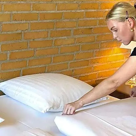 Svanegarden Hotell Boeslunde